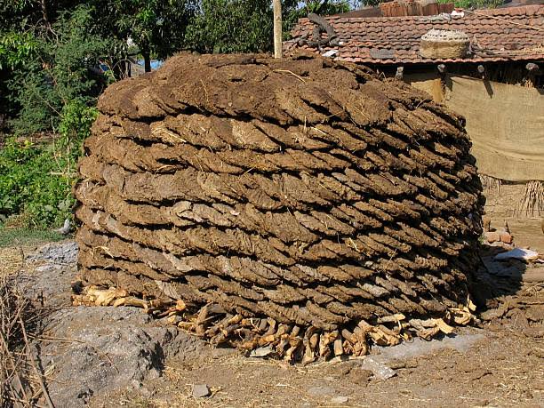 Cow Dung Cake ( Piece of 45 )