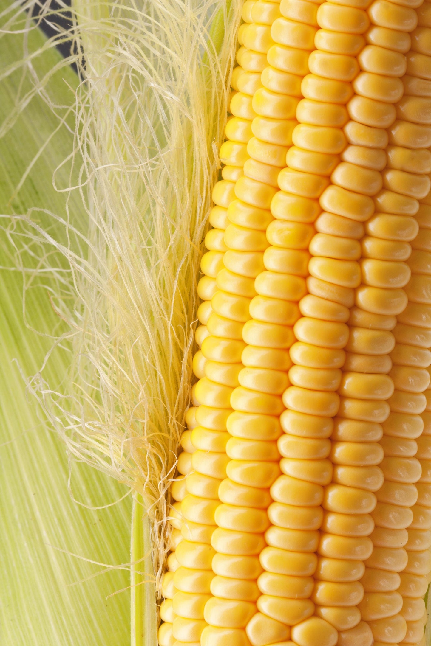 Popcorn Kernels (Maize Whole Grain ( Pack 1 of 400g )