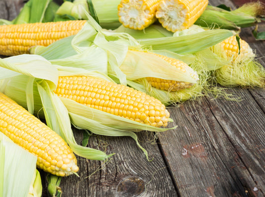 Popcorn Kernels (Maize Whole Grain ( Pack 1  of 400g )